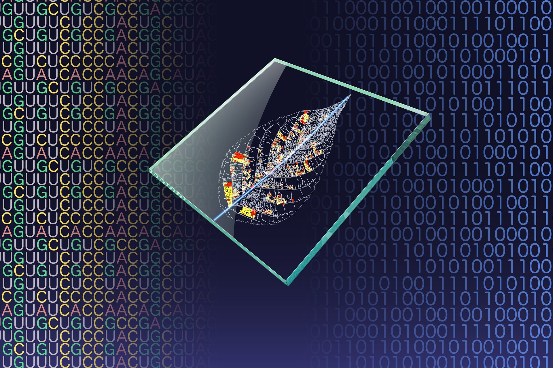 AI Consulting Services